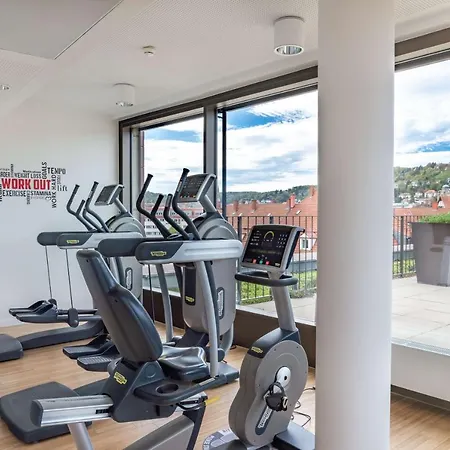 斯图加特雷迪森公园酒店 斯图加特